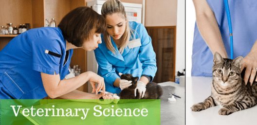 College Rankings by Subject: Veterinary Science (updated: 2/23/2020)