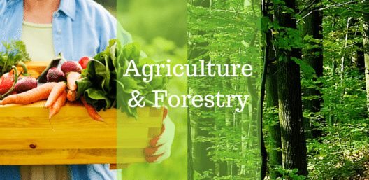College Rankings by Subject: Agriculture & Forestry (updated: 2/23/2020)