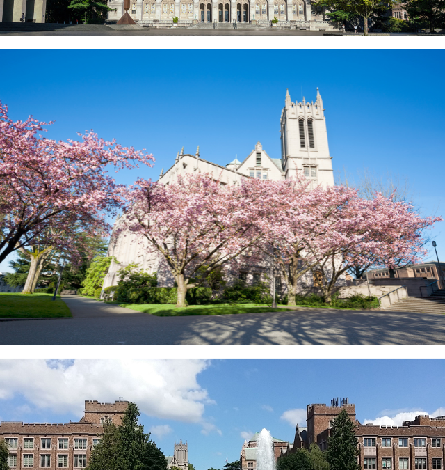 华盛顿大学西雅图分校——公立常春藤名校